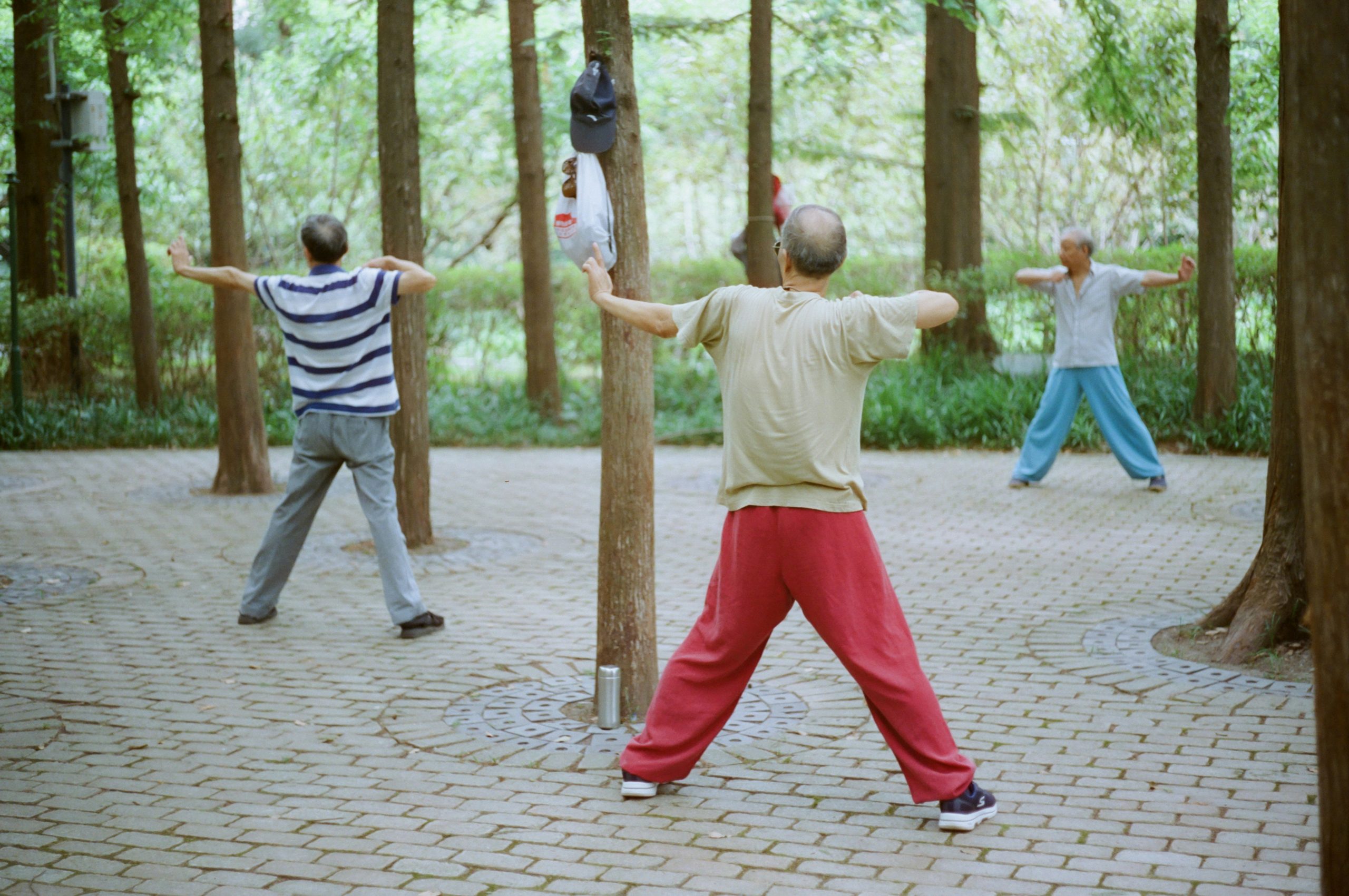 Seated Tai Chi Exercises For Seniors – Easy to Follow